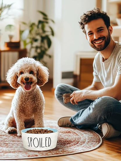 27OZ Ceramic Dog Bowl - 6 Inch Small Food Water Bowl, Heavy Duty Non-Slip Dog Dish for Medium Dogs, Food Grade Porcelain Pet Feeder Bowls, Microwave & Dishwasher Safe, Blue