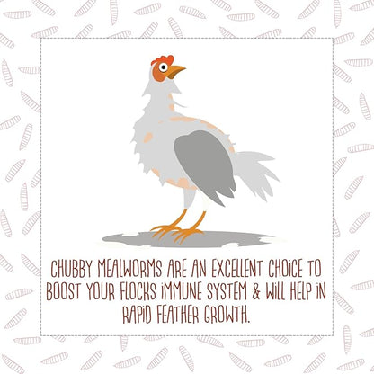 5Lb Chubby Dried Mealworms High Protein Treat for Chickens, Ducks & Birds