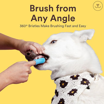 Jasper Dog Toothbrush, 360 Degree Pet Tooth Brushing Kit, Cat Toothbrush, Canine Dental Care & Teeth Cleaning Kit, Pet Finger Tooth Brush, Use with Dog Toothpaste, 4-Pack Multicolor