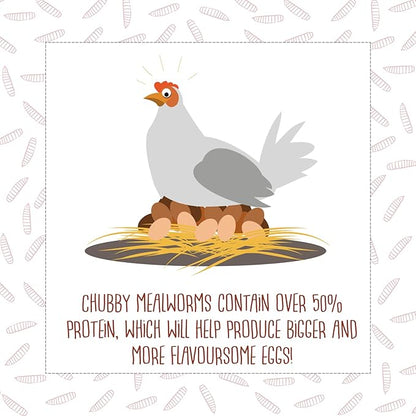 15Lbs Chubby Dried Mealworms Premium Mealworms Large Resealable Bag with Handle