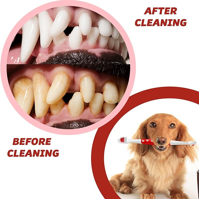 Pet Toothbrush for Dogs, Cats with Soft Bristles - Easy Teeth Cleaning & Dental Care, Non Slip Dual Head Dog Toothbrush for Medium & Large Pets, Toothpaste Not Included, Pack of 2