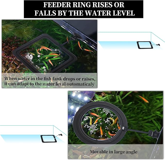 2PCS Fish Feeding Ring,Fish Feeder Circle Aquarium and Tank Floating Rings Food Feeders with Suction Cup for Goldfish Turtle and Other Smaller Fish (Round and Square, Black)