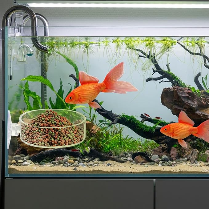 2Pcs Aquarium Shrimp Feeder Dish with Suction 75mm Round Clear Fish Tank Food Tray Container Glass Fish Tank Feeding Bowls for Aquarium Tanks Feeding Tray