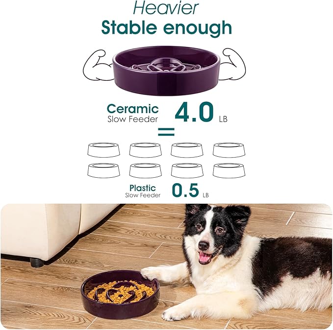 vancasso Slow Feeder Dog Bowl, 3 Cups Ceramic Slow Feeder for Large Breed, Puzzle Maze Dog Food Bowl for Fast Eater, Dark Purple