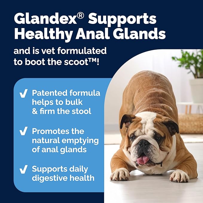 Vetnique Glandex Anal Gland Soft Chew Treats with Pumpkin for Dogs Digestive Enzymes, Probiotics Fiber Supplement for Dogs Boot The Scoot (Advanced Strength Duck/Bacon Chews (Vegetarian), 120 Ct)