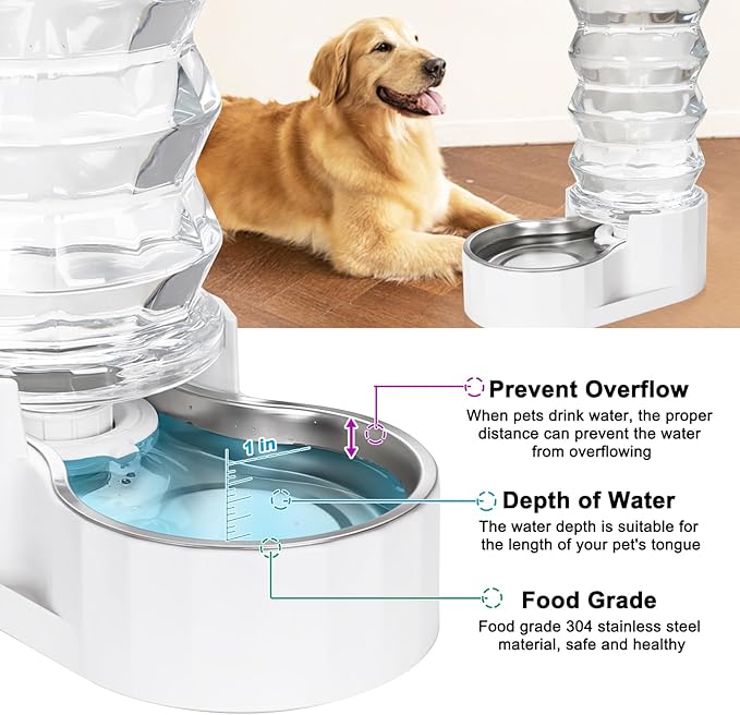 RIZZARI Large Gravity Water Dispenser: 8L Automatic Upgraded Water Feeder with Stainless Steel Bowl - Two Caps and Filters for Pets Indoor/Outdoor Use by Owners