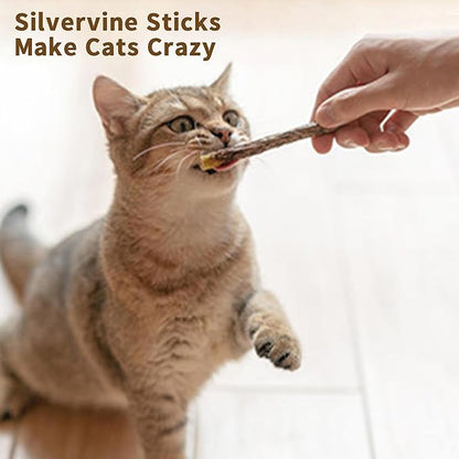 [ 35pcs Silvervine Sticks for Cats, Matatabi Cat Chew Sticks, Catnip Toys, Wooden Dental Sticks for Indoor Cats, Kitty, Kitten Teething Interactive Wand Toys