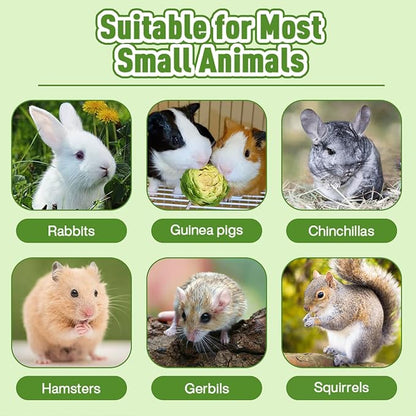 Abizoo Freeze Dried Brussels Sprouts Rabbit and Hamster Chew Treats Resealable Jar for Hamsters Bunny Guinea Pigs Groundhogs Natural Fiber Vitamin Snacks