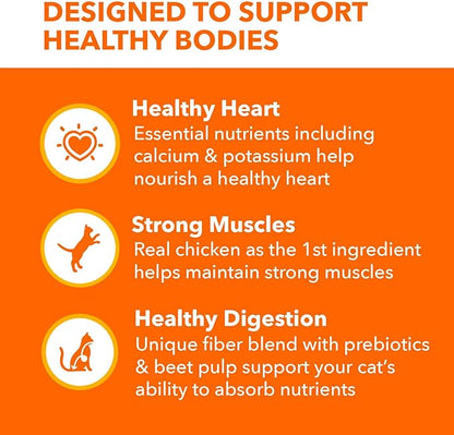 IAMS Proactive Health Adult Healthy Dry Cat Food with Chicken, 16 lb. Bag