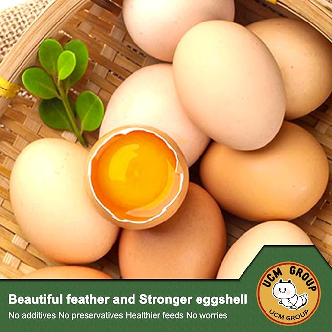 UCM Group 10LB Dried Black Soldier Fly Larvae for Chicken, Poultry, Wild Birds,100% Natural Non-GMO, No Additives, Treat, More Calcium Chicken Treats Than Mealworms