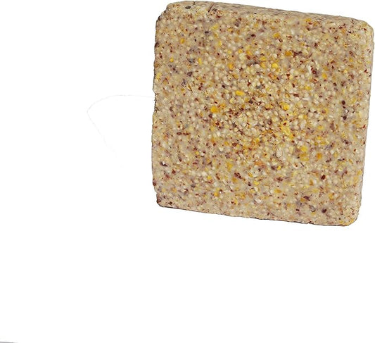 Suet Cake Variety Packs | 11 oz. Wild Bird Suet Cakes | (Peanut, 10 Pack)