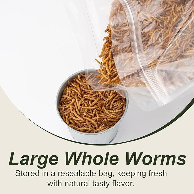 Adaman Dried Mealworms -5 LBS- 100% Natural High Protein Mealworms - Bulk Meal Worms for Blue Birds, Chickens, Ducks - Best Chicken Treats, Bird Food, Turtle Food