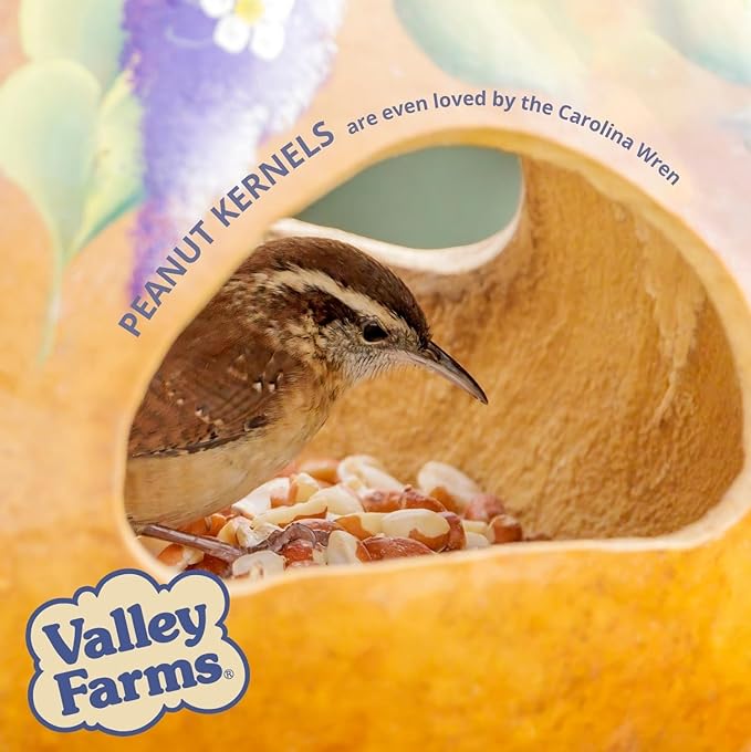 Valley Farms Whole Peanut Kernels (4 LB) Wild Bird Food for Outside Feeders, Peanuts for Birds, Chickadee Bird Seed for Outside Feeders, No Mess Bird Seed
