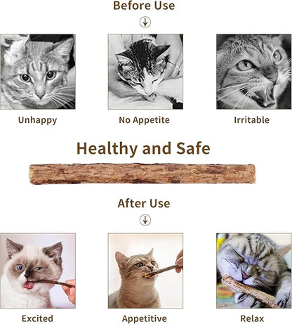[ 15pcs Silvervine Sticks for Cats, Matatabi Cat Chew Sticks, Catnip Toys, Wooden Dental Sticks for Indoor Cats, Kitty, Kitten Teething Interactive Wand Toys