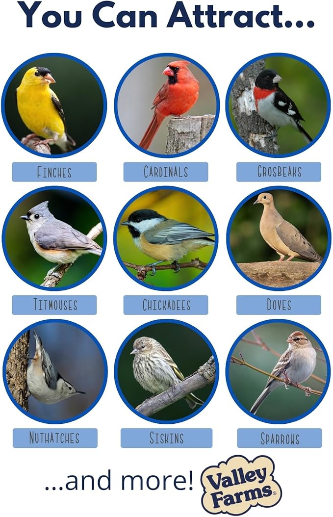 Valley Farms Hi-Flite Wild Bird Food (5 LB) Outside feeders, Bird Seed with Millet, Crack Corn, Black Oil Sunflower Seeds Birds, Economy Bird Seed for Outside Feeders, Birdseed