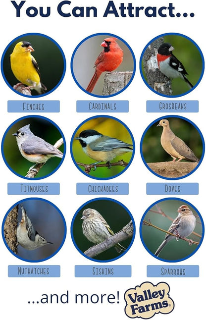 Valley Farms Hi-Flite Wild Bird Food (5 LB) Outside feeders, Bird Seed with Millet, Crack Corn, Black Oil Sunflower Seeds Birds, Economy Bird Seed for Outside Feeders, Birdseed