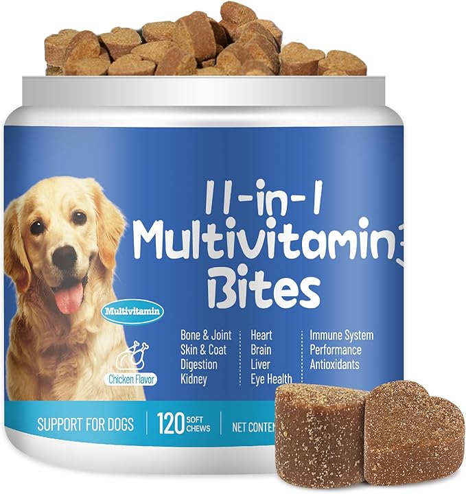 11-in-1 Dog Multivitamin Supplement - Dog Vitamins with Glucosamine - 120 Chews - Hip & Joint, Pet Immune Support, Heart, Skin & Coat, Digestion - Senior & Puppy Multivitamin Pet Supplement