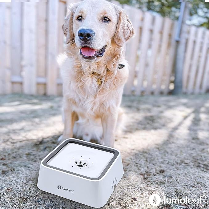 LumoLeaf No Spill Water Bowl for Dogs with Filter, 70oz/2L, Slow Feeder for Messy Drinkers, Drip-Free & Splash-Proof Design (White 70 fl oz)