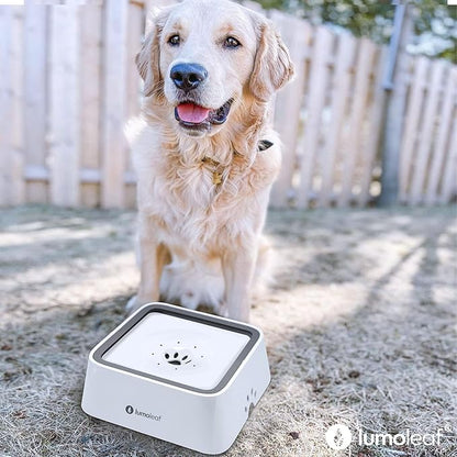 LumoLeaf No Spill Water Bowl for Dogs with Filter, 70oz/2L, Slow Feeder for Messy Drinkers, Drip-Free & Splash-Proof Design (White 70 fl oz)