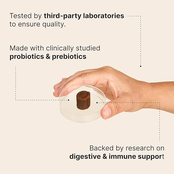 Wuffes Daily Probiotic for Dogs - Supports Digestive Health, Gut Balance, and Immune System - with Prebiotics, Marshmallow Root, and Pumpkin Powder (120 Chews (Pack of 2))