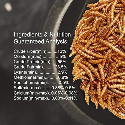 Amzey Dried Mealworms 2 LB, 100% Natural Meal Worms for Chicken & Birds, Organic Chicken Feed for Laying Hens, High Protein and Nutrition, Zipped Bag