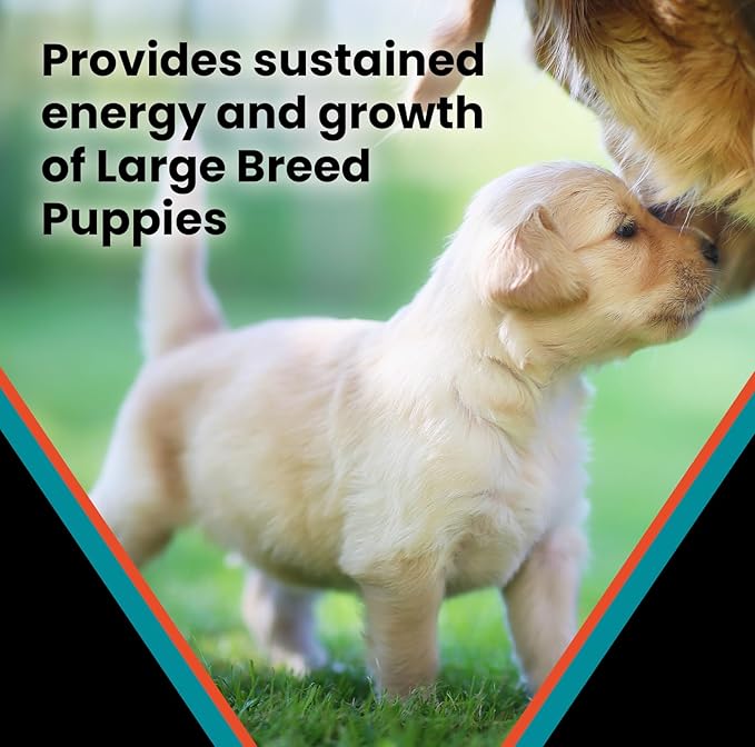 VICTOR Classic - Hi-Pro Plus Large Breed Puppy, 30-lb