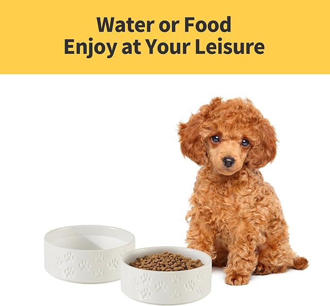 5.1" Non-Slip Ceramic 2 - Piece Dog Bowl Set for Toy Breed Dogs - Food and Water Bowls for Puppy, Pet Dishes for Cats, Kitty (Double Bowls - White, 5.1 inch)