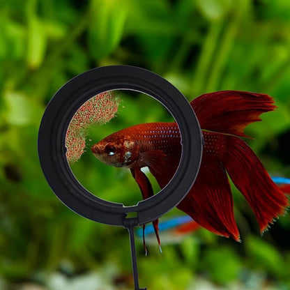 2PCS Fish Feeding Ring,Fish Feeder Circle Aquarium and Tank Floating Rings Food Feeders with Suction Cup for Goldfish Turtle and Other Smaller Fish (Round and Square, Black)