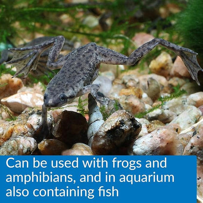 API TURTLE SLUDGE DESTROYER Aquarium Cleaner and Sludge Remover Treatment 8-Ounce Bottle