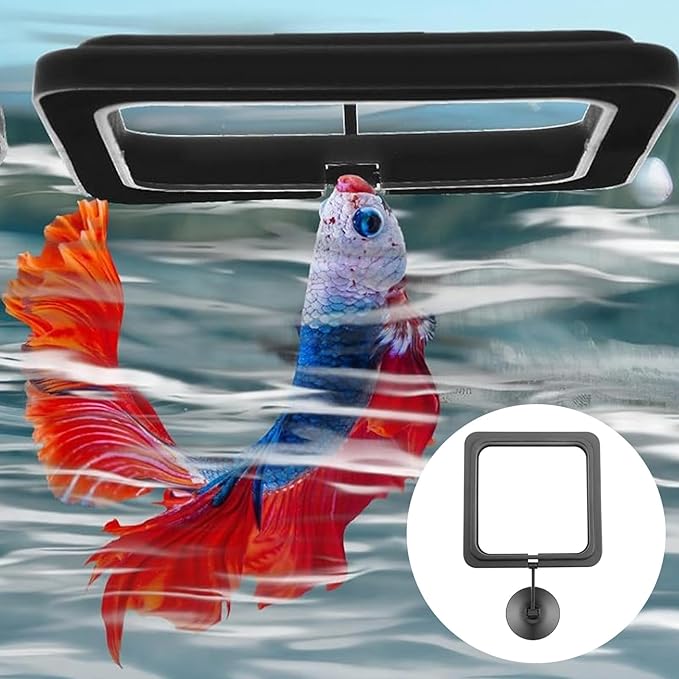 4 Aquarium Feeding Rings, Fish Tank Stations, Floating Food Trays, feeders, Square Circular attachments, Fish Food feeders, Suction Cups, Black, Suitable for Turtles, Turtles, Goldfish, Peacock fishs