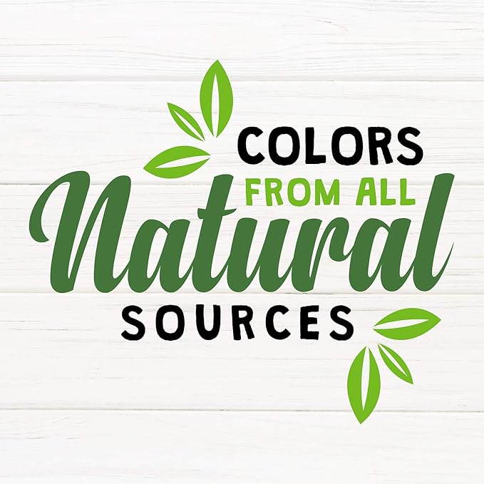 Sunseed Vita Prima Wholesome Nutrition Conure Food, 3 LBS, (Model: 59761)