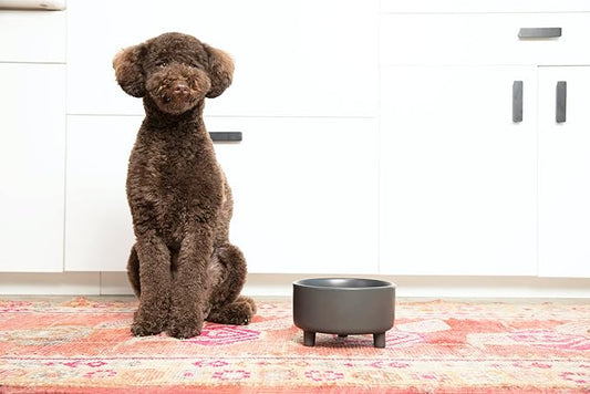 Waggo Uplift Ceramic Dog Bowl for Small Medium and Large Breeds - Heavyweight and Durable Pet Food and Water Dish Crock, Dishwasher Safe, Modern, Elevated Feeder (Teracotta, Medium)