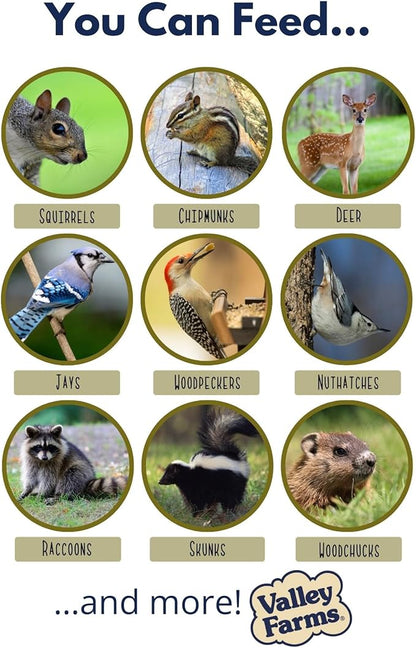 Valley Farms Squirrel & Wildlife Mix (4 LB) Wildlife Food and Wild Bird Food, Bird Seed for Squirrel Chipmunks & Deer, Peanuts, Black Oil Sunflower & Corn