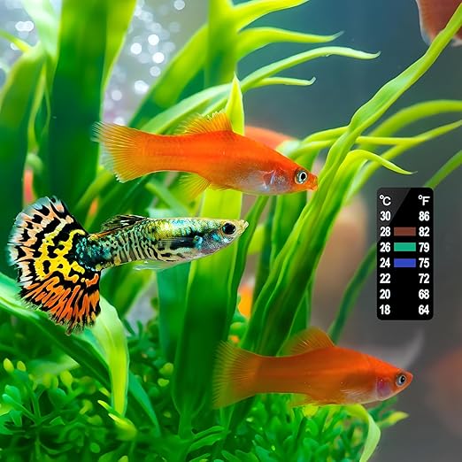 AQUANEAT 6 PCS Aquarium Thermometer Strips, Fish Tank Thermometer Sticker, Terrarium Water Temperature Test (1.58" x 0.67")