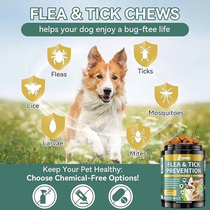 YOTANGO Flea and Tick Prevention for Dogs Chewable, 200 Soft Treats Natural Dog Flea and Tick Treatment Chewable, Oral Flea Supplement Chews, Skin & Coat Support for Dogs Puppies - All Breeds & Ages