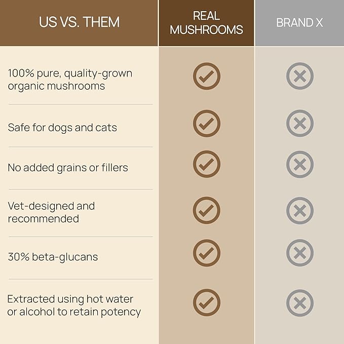 Real Mushrooms Lion’s Mane Pet Mushroom Supplement – Pet Wellbeing Capsules – for Cat & Dog Supplement & Vitamins – Support Mindful Routines – Organic, Vegan, Non-GMO, 120 Count