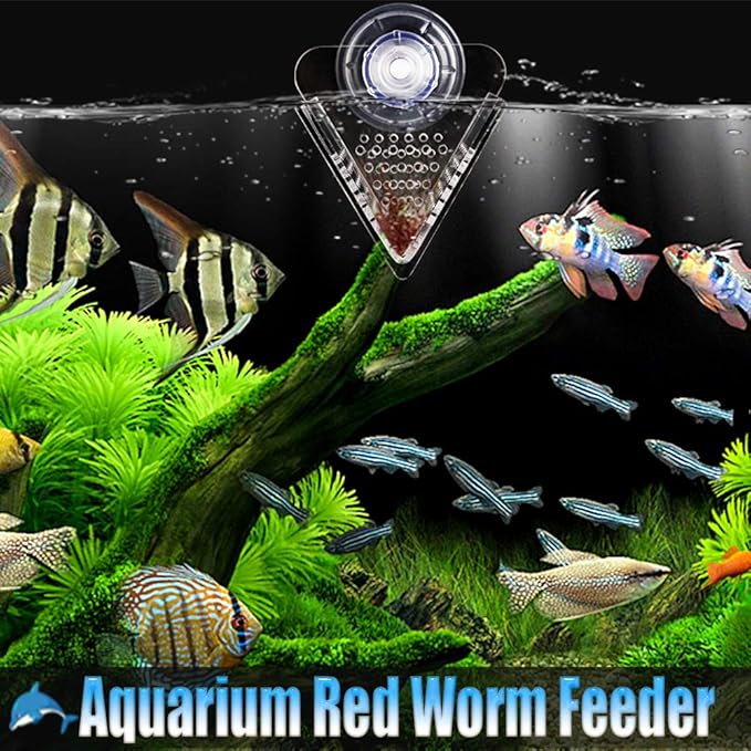 Aquarium Cone Red Worm Feeder Acrylic V-Shape Automatic Fish Feeder Brine Shrimp Food Feeding Cup with Suction Cup