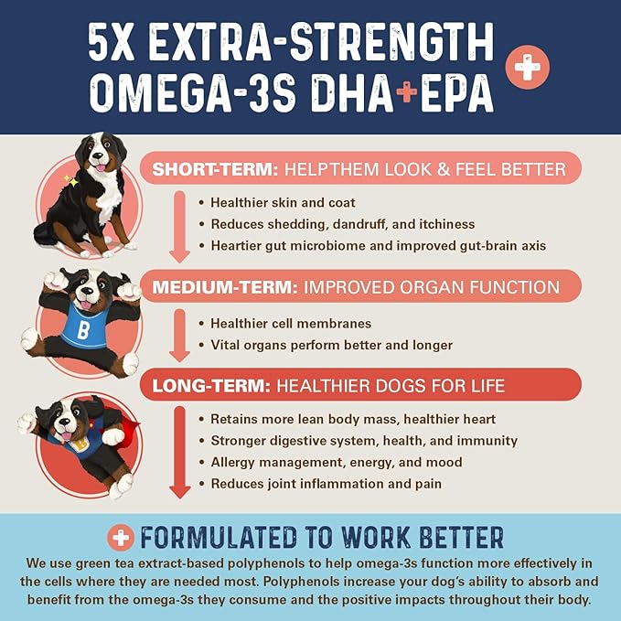Bernie’s OMG! Omegas Chews for Dogs - 5X Extra Strength DHA+EPA, Fish Oil, Healthy Skin & Coat, Allergy Relief, Joint Supplement (Salmon Flavor)