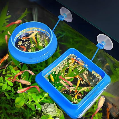 2Pcs Thicken Fish Feeding Rings Blue Mixed Shape Floating Food Feeder Circle with Suction Cup for Fishes Tank Aquarium Turtle Betta Goldfish Small Fish Feeding Accessories Duckweed Ring