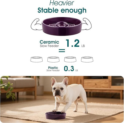 vancasso Slow Feeder Dog Bowl, 0.6 Cups Ceramic Dog Food Dish for Fast Eaters Small Breed, Puzzle Bowl for Small Dogs and Cats, Dark Purple