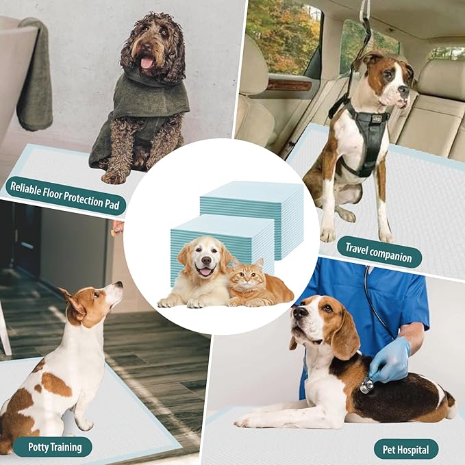 GWT Puppy Pads Extra Large 28x34 Inch - 40 Count Dog Pee Pads, Ultra Absorbent 5-Layer Leak-Proof Potty Training Pads for Dogs, Puppies, Cats & All Pets | XL Disposable Pee Pad Indoor Outdoor Use