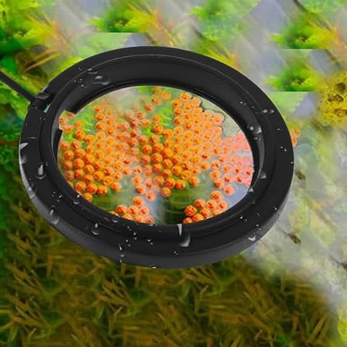 4 Aquarium Feeding Rings, Fish Tank Stations, Floating Food Trays, feeders, Square Circular attachments, Fish Food feeders, Suction Cups, Black, Suitable for Turtles, Turtles, Goldfish, Peacock fishs