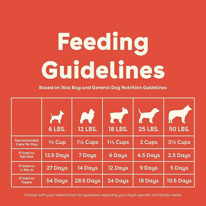 Pupford Good Dog Food, Freeze-Dried Raw, High-Protein, Superfood Ingredients, Vet-Approved, No Fillers or Artificial Additives (Beef Recipe, 16 oz)