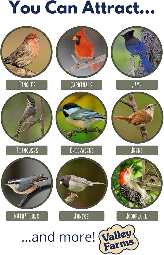 Valley Farms Whole Peanut Kernels (4 LB) Wild Bird Food for Outside Feeders, Peanuts for Birds, Chickadee Bird Seed for Outside Feeders, No Mess Bird Seed