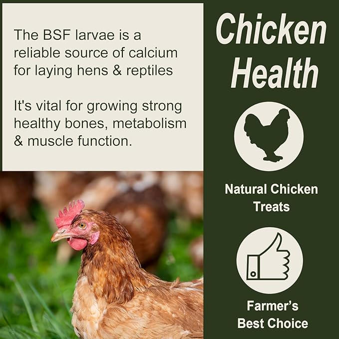 Adaman Dried Black Soldier Fly Larvae 10 LBS-100% Natural Non-GMO BSF Larvae-More Calcium Than Dried Mealworms High-Protein Chickens Treats, Food for Wild Birds, Ducks, Layer Hens