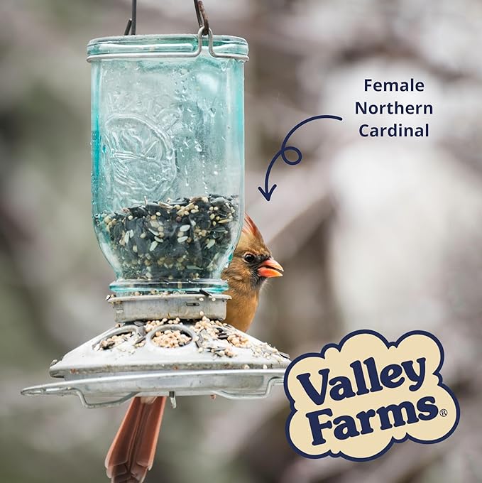 Valley Farms Super Deluxe Wild Bird Food (40 LBS)