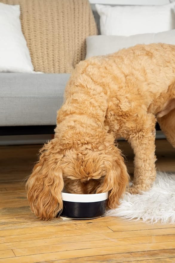 Waggo Dipper Ceramic Dog Bowl for Small and Large Breeds - Heavyweight and Durable Pet Food and Water Dish Crock, Dishwasher Safe, Modern (Black, Large)