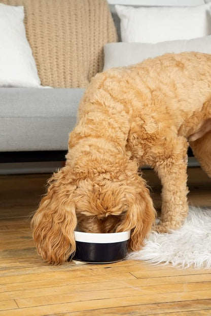 Waggo Dipper Ceramic Dog Bowl for Small and Large Breeds - Heavyweight and Durable Pet Food and Water Dish Crock, Dishwasher Safe, Modern (Black, Large)