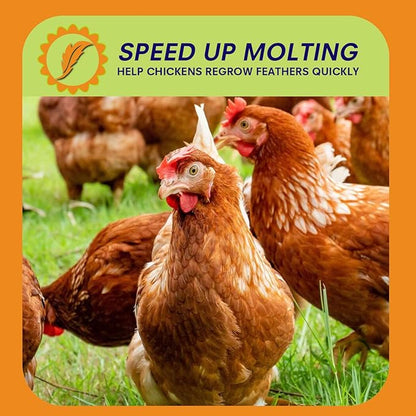 10lbs Dried Black Soldier Fly Larvae for Chickens - High Protein Chicken Food 100% Natural - BSF Larvae More Calcium Than Dried Mealworms, Chicken Treats for Laying Hens Ducks Birds