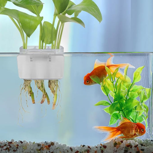 3 Holes Upgraded Aquatic Plant Cup Aquarium Plant Holder for Tank,Hanging Aquarium Plant Holder,Aquarium Aquatic Plant Cultivation,Aquarium Plant Decoration. (White 4PCS)